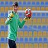Alireza Beiranvand